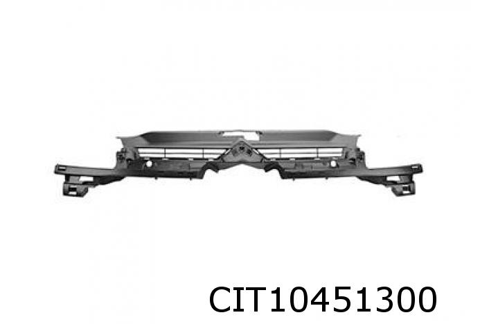 Grille de radiateur