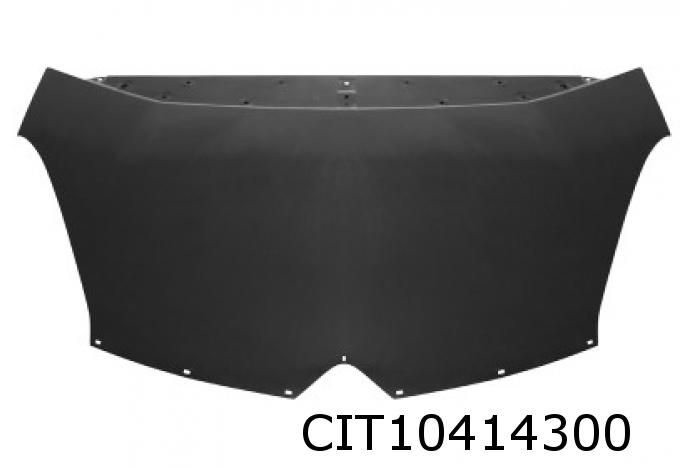 Capot C4 Picasso