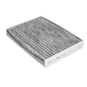 Filtro antipolline Koleos II