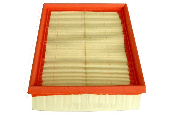 Filtro aria C4 (2.0i-16V) / 307 (1.4i/1.6i/2.0i-16V)