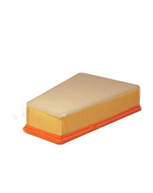 Filtre à air PSA (2.0HDi)