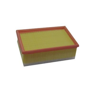 Filtre à air C4 (2.0i-16V) / 307 (1.4i/1.6i-16V/2.0i-16V/2.0HDi) / 206 (2.0i-16V)