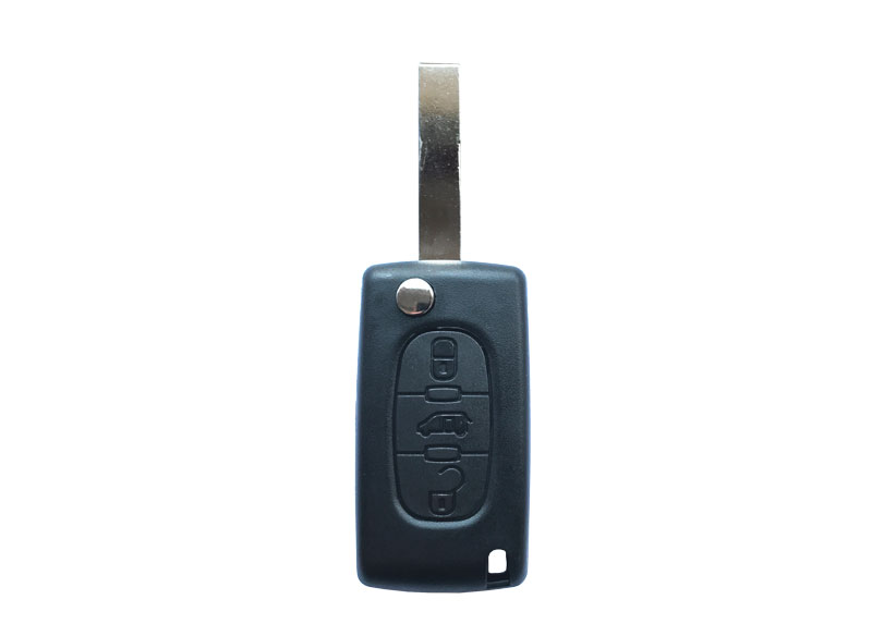 Guscio telecommando 3 tasti con portellone, supporto della batteria sul circuito elettrico
