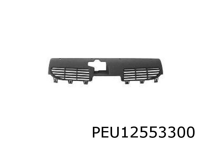 Gitter für Kühlergitter 206