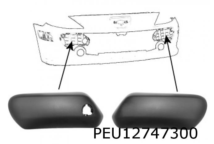 Moulures de protection interne 307 avant