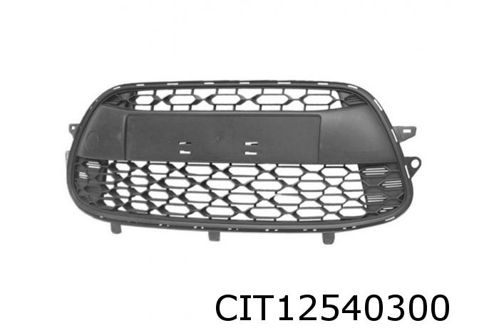 Stossstangengitter vorne schwarz C3 III bis Org.13292