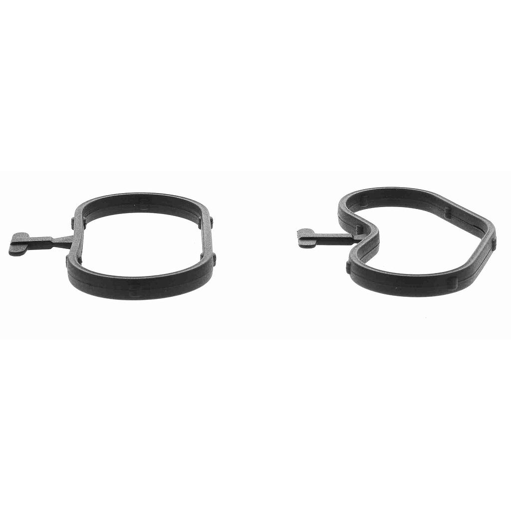 ELASTOMERFORMDICHTUNG