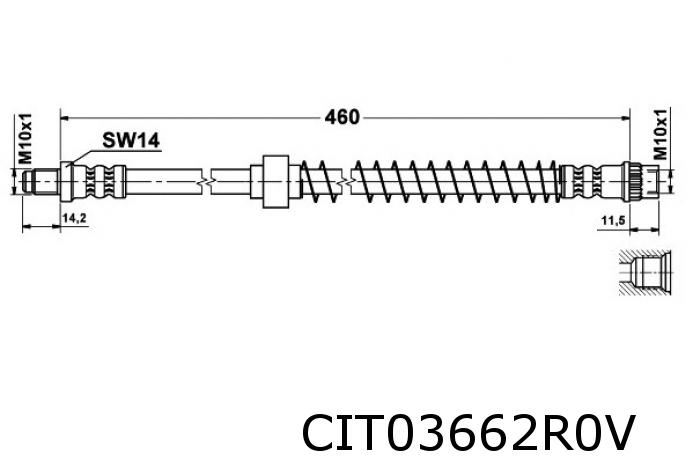 Xsara remslang voorzijde